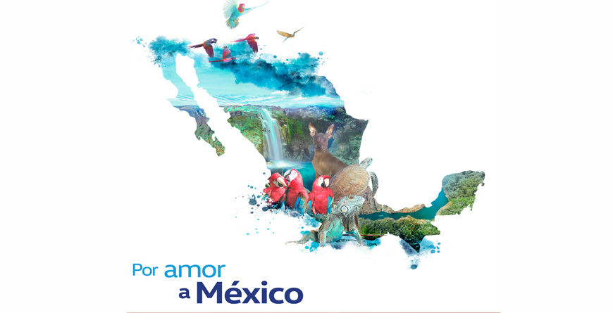 Por Amor a México
