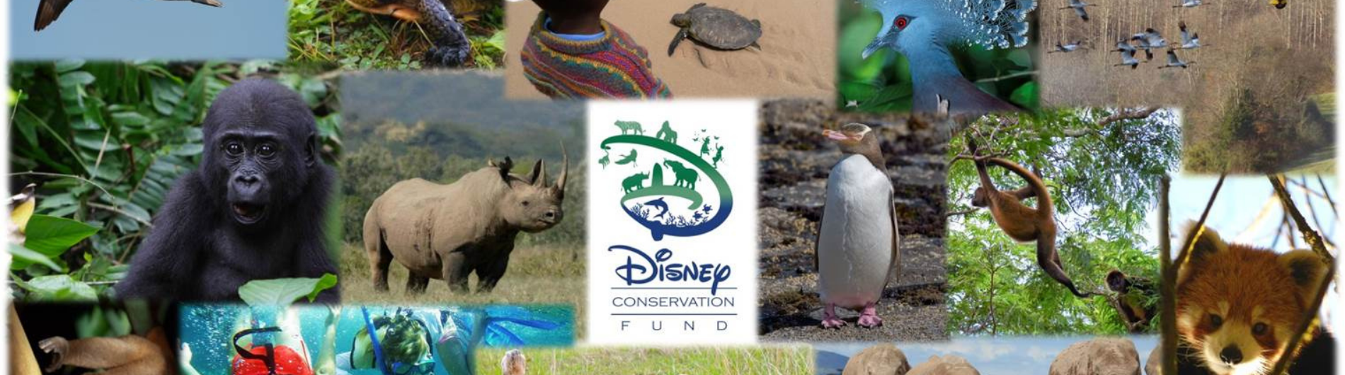 Fondo para la Conservación de Disney