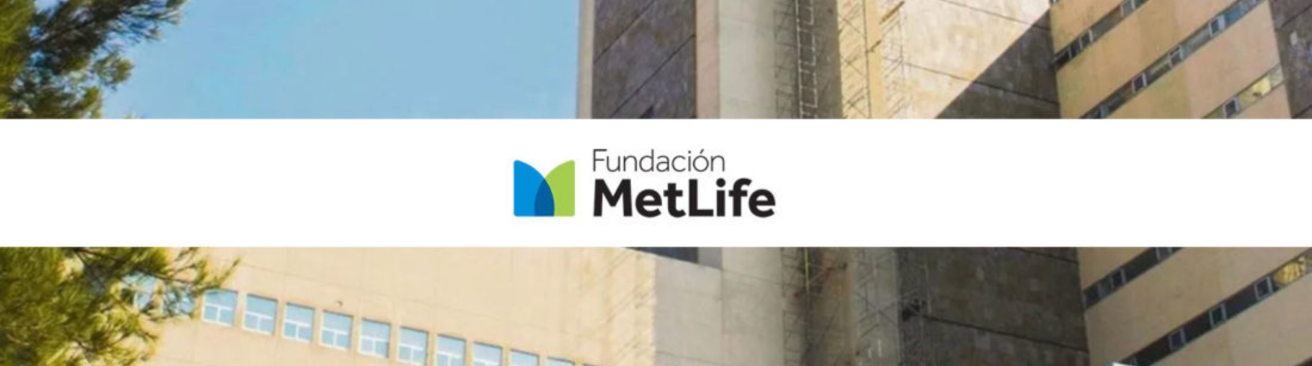 Fundación Metlife