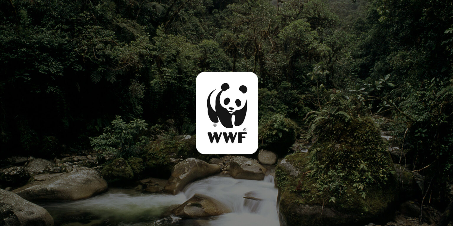 WWF: Pérdida De La Naturaleza Alcanza Niveles Catastróficos En El Mundo ...