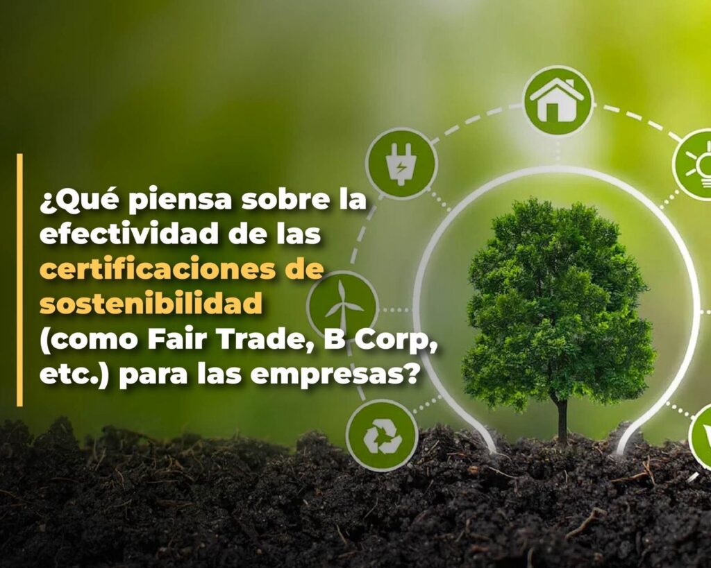 ¿Qué piensa sobre la efectividad de las certificaciones de ...