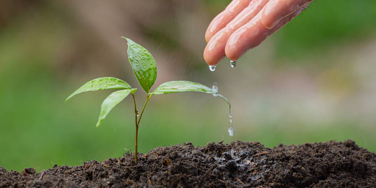Kilimo lidera la transformación hacia el cuidado del agua en la agricultura