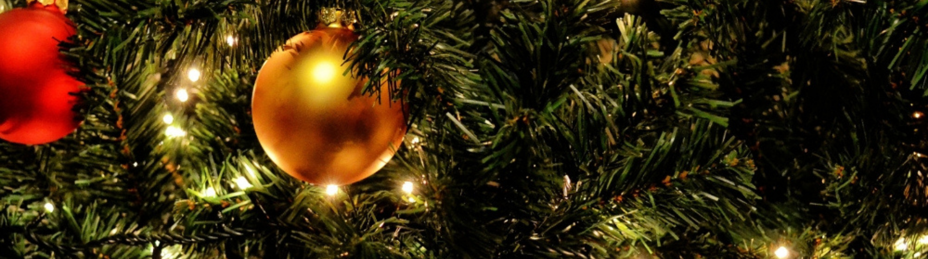 11 formas de reducir tu impacto ambiental esta Navidad