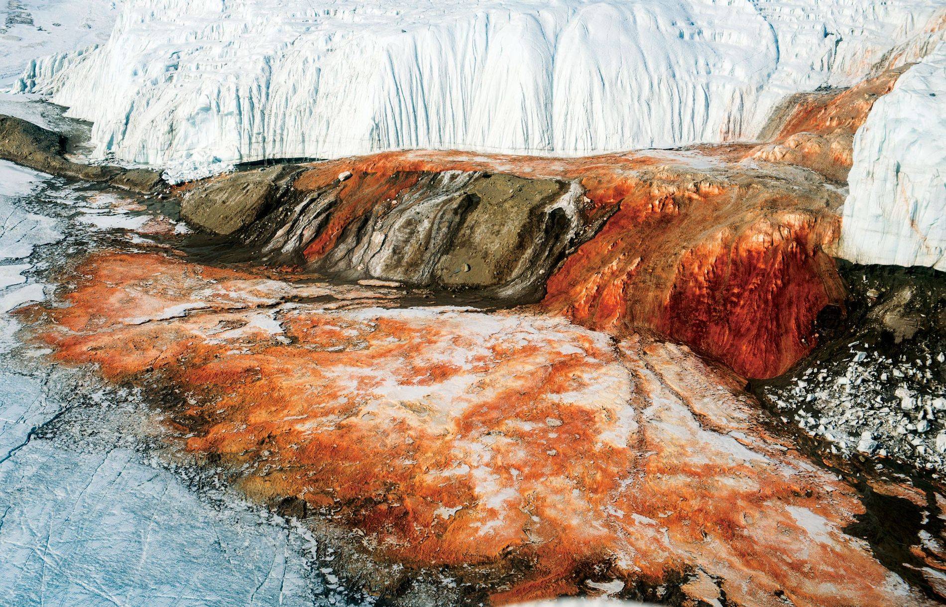 ¿Cuáles son las causas del fenómeno de las Cataratas de Sangre en la Antártida?